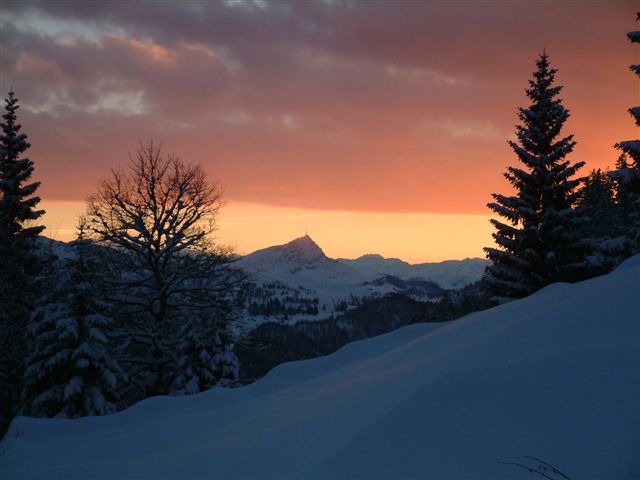 Kitzbühler Horn von Waidring gesehen