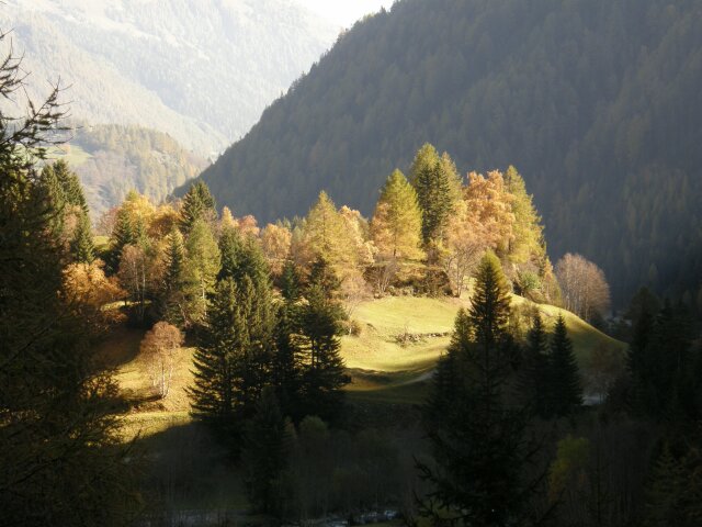 Brandtnerhof Hotel Erlebnis 