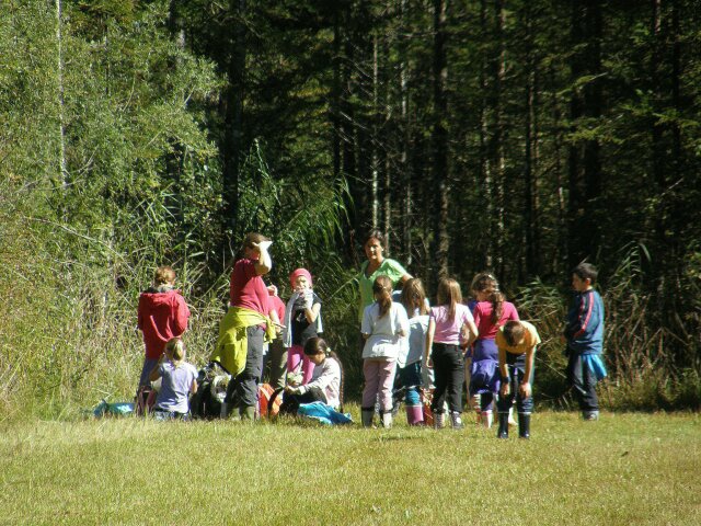 Kinder mit Naturpädagogischer Begleitung beim Spielen in einer intakten Natur
